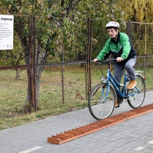 pokaż obrazek - 