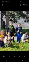 pokaż obrazek - 
