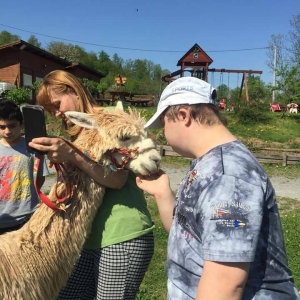 pokaż obrazek - 