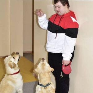 pokaż obrazek - 