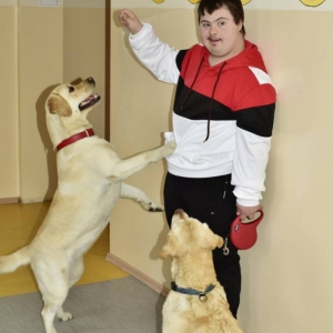 pokaż obrazek - 