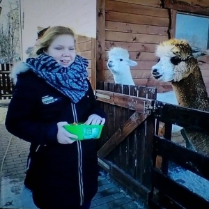 pokaż obrazek - 