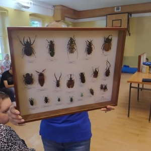 pokaż obrazek - 