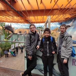 pokaż obrazek - 