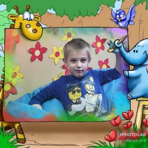 pokaż obrazek - 