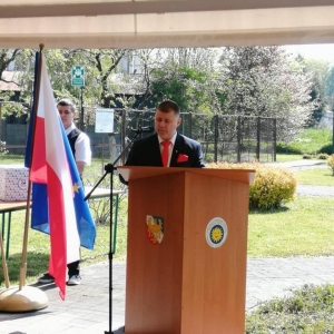 pokaż obrazek - 