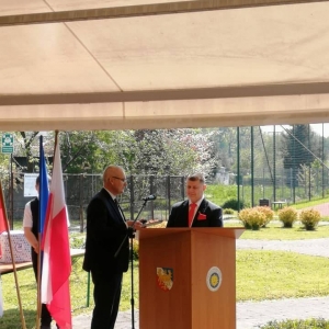 pokaż obrazek - 