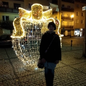 pokaż obrazek - 