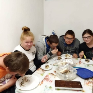 pokaż obrazek - 