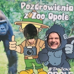 pokaż obrazek - 
