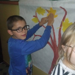 pokaż obrazek - 