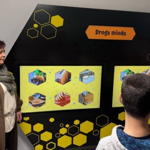 pokaż obrazek - 