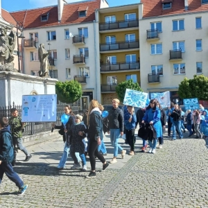 pokaż obrazek - 