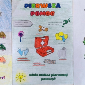 pokaż obrazek - 