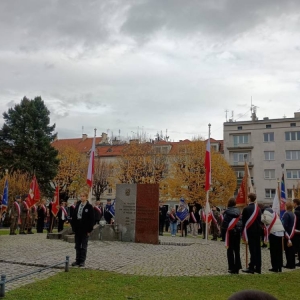 pokaż obrazek - 