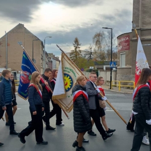pokaż obrazek - 