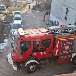pokaż obrazek - 