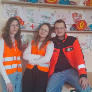 pokaż obrazek - 