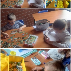 pokaż obrazek - 