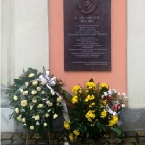 pokaż obrazek - 